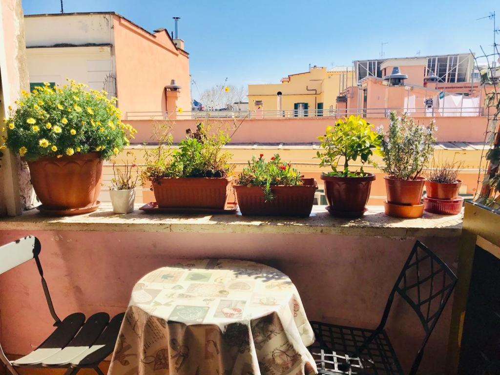 Pensión Green Guesthouse
