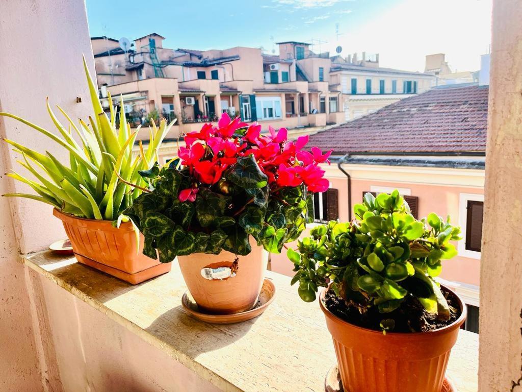 Pensión Green Guesthouse