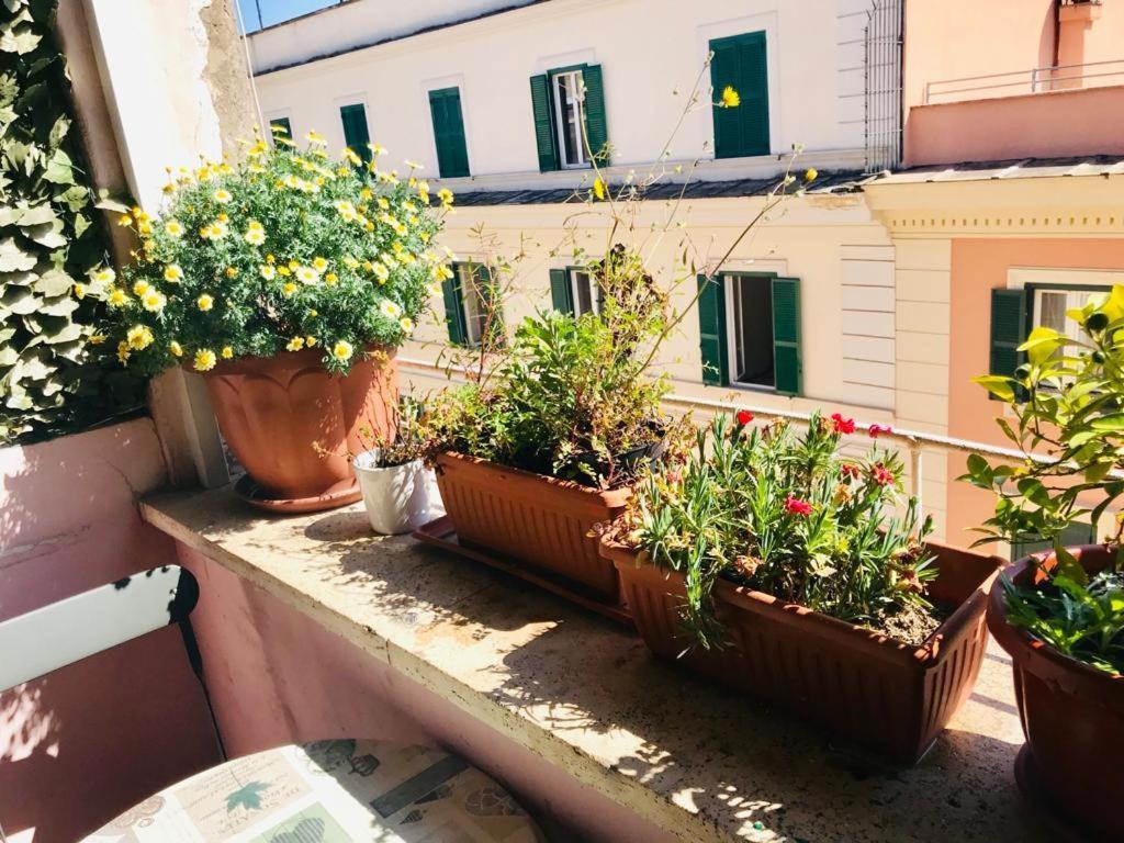 Green Guesthouse Gasthof *